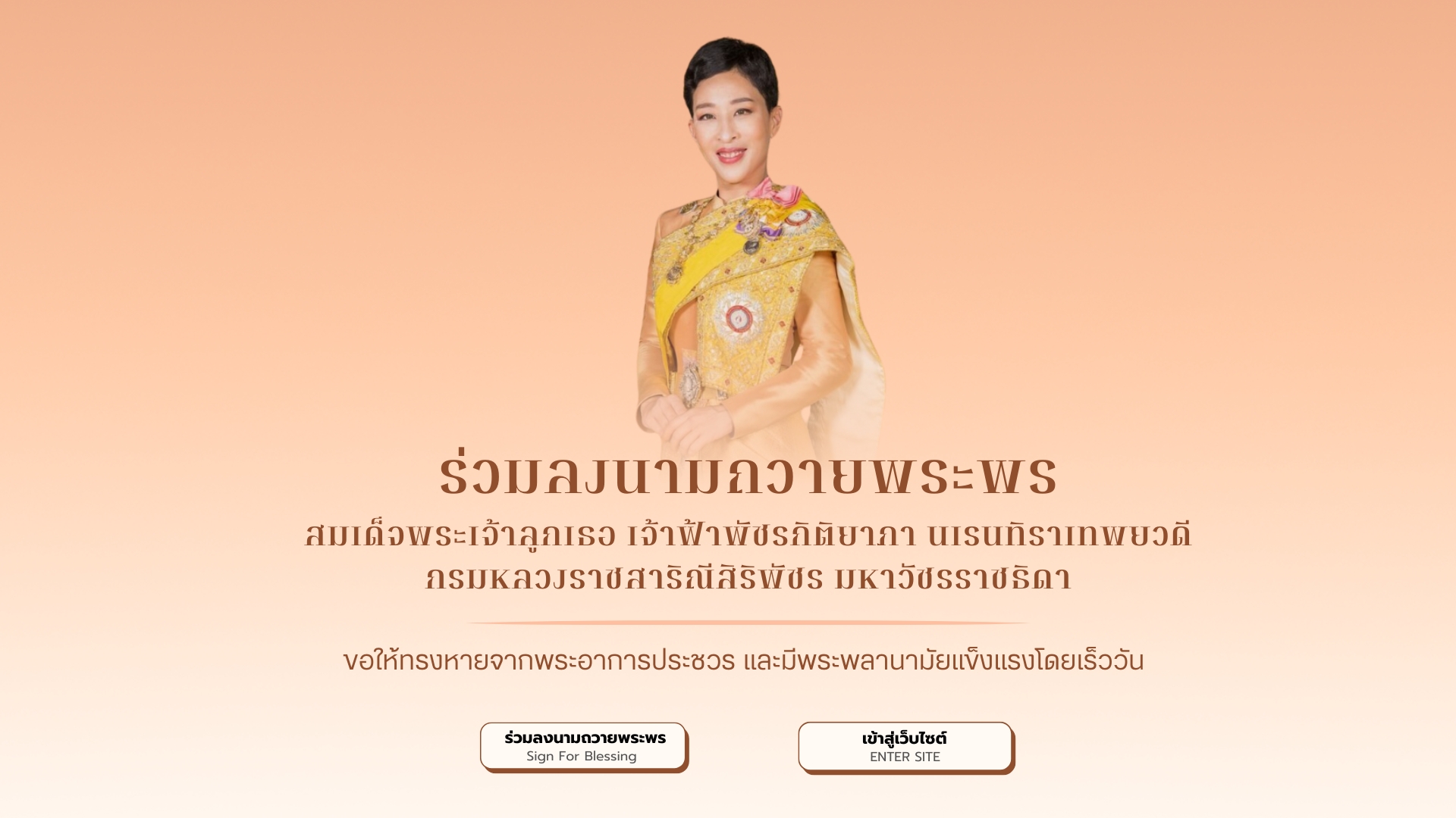 ���稾������١�� ��ҿ�ҾѪáԵ������
