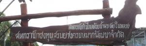 t20180202011056_23446.jpg